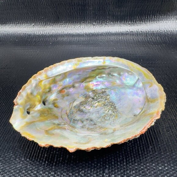 Vintage Abalone Shell Trinket Dish Mother Of Pearl Iridescent Finish Dish Bowl - Picture 16 of 16